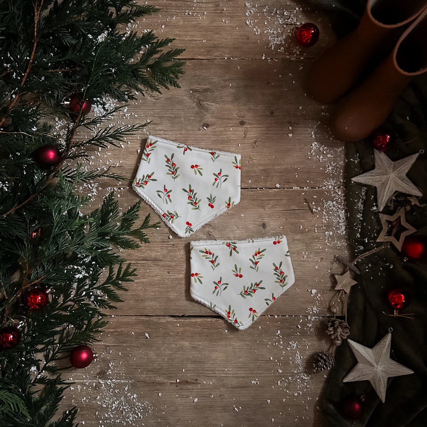 Mistletoe Dribble Bib