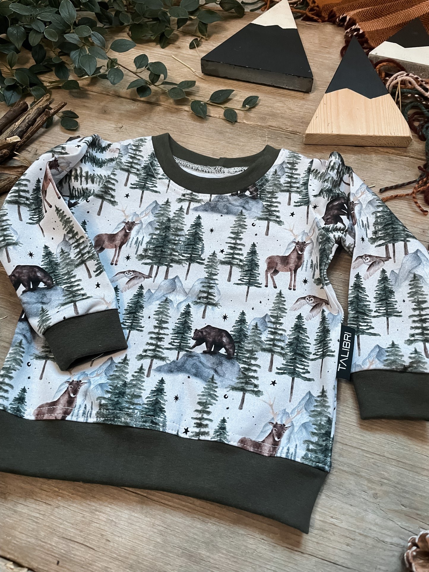 Winter Mountain Sweatshirt