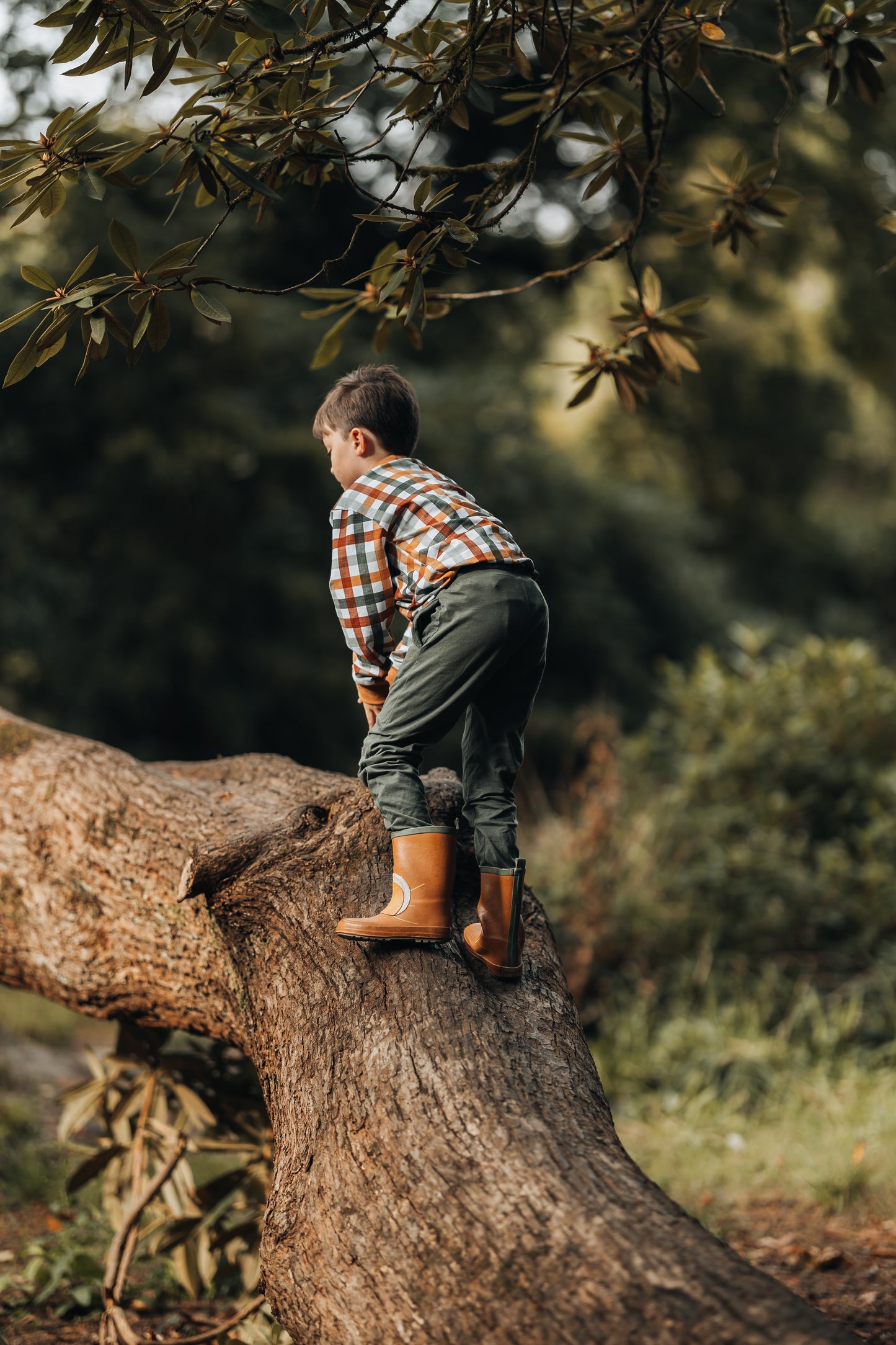 Autumn Checks Sweatshirt