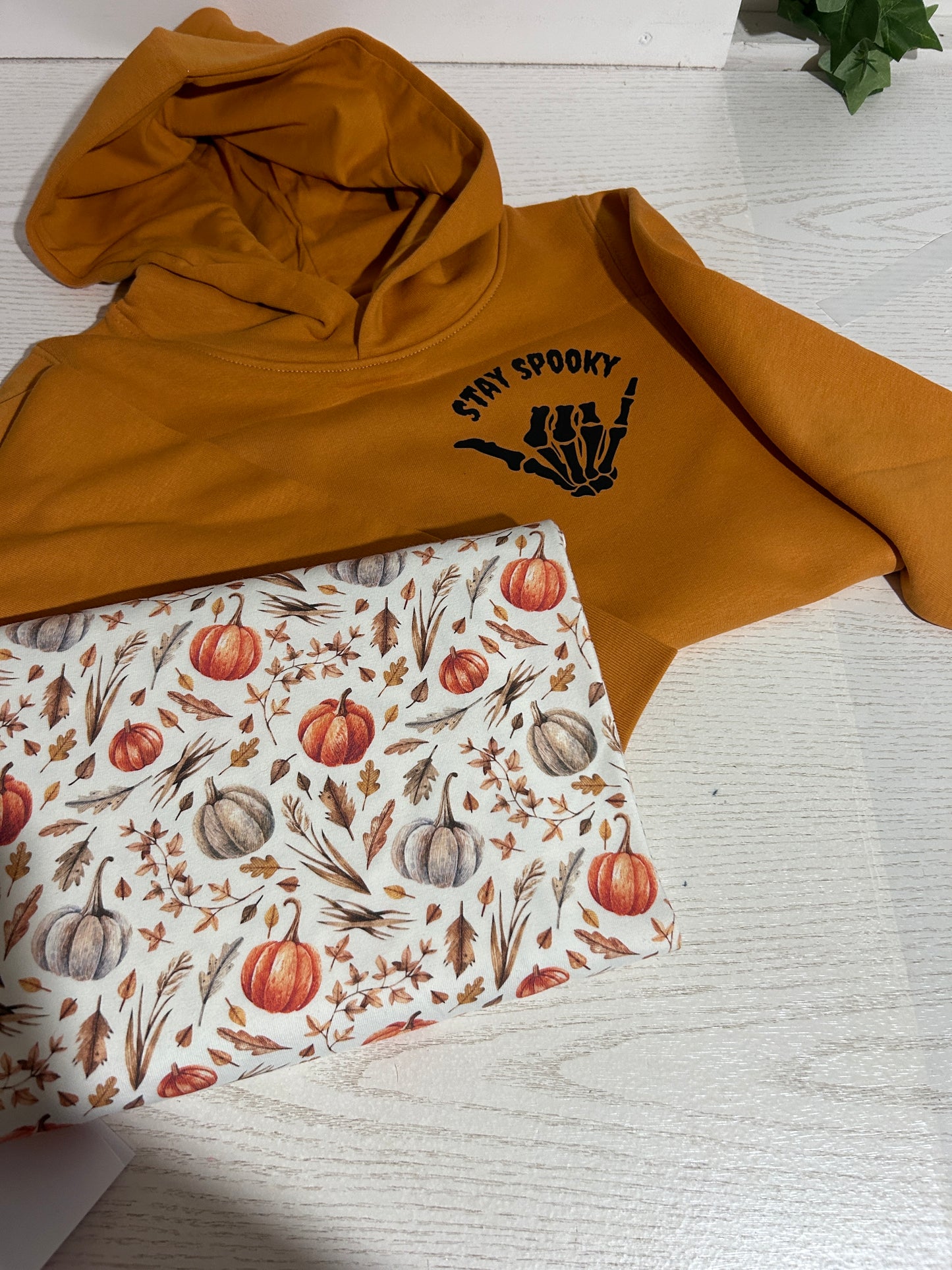 Limited Edition Stay Spooky Organic Hoodie