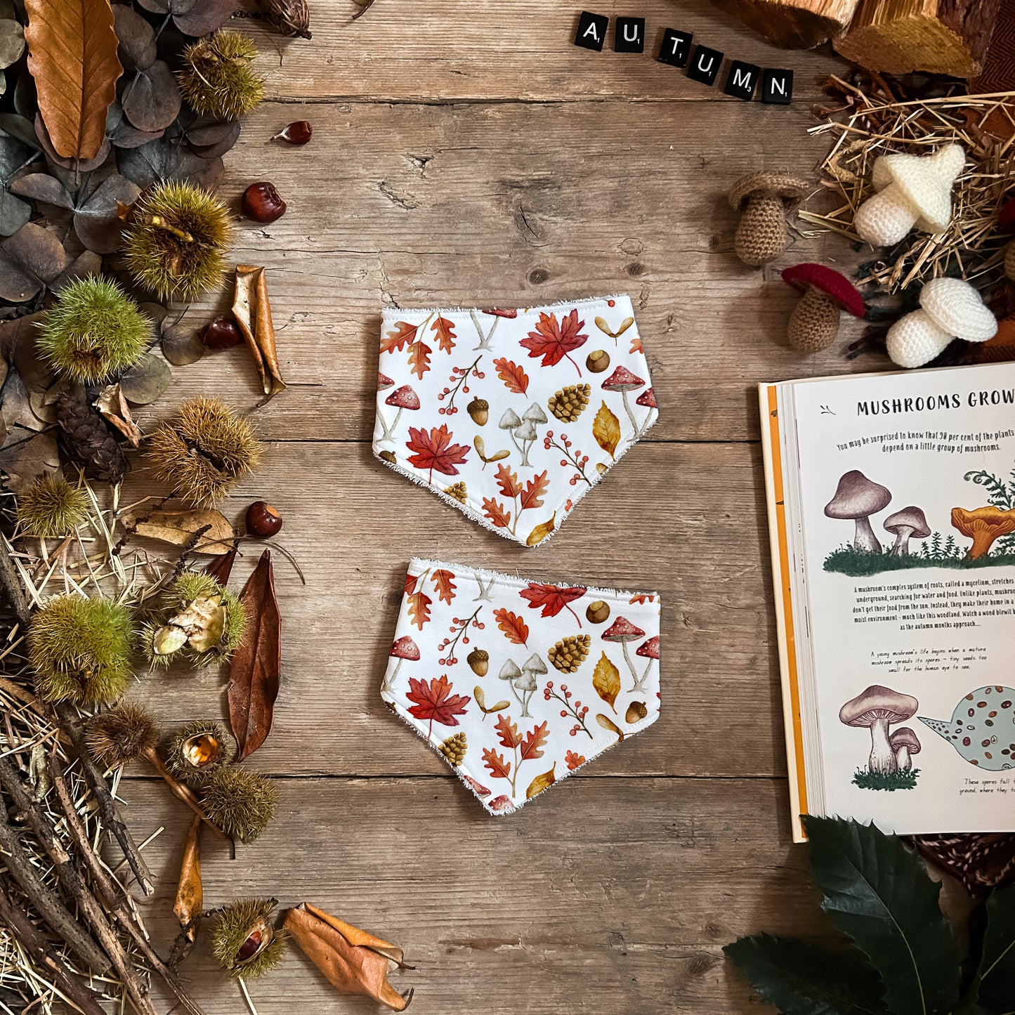 Autumn Leaves Dribble Bib