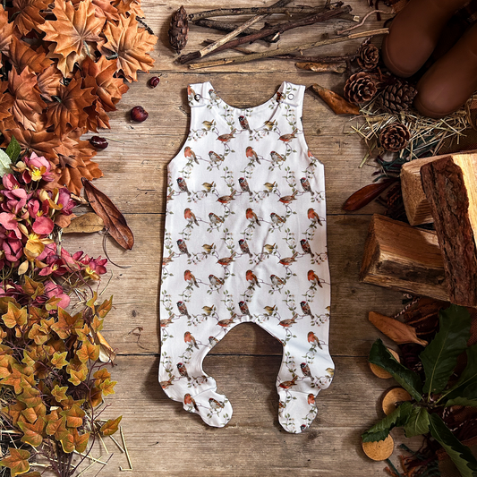 Robins Footed Romper