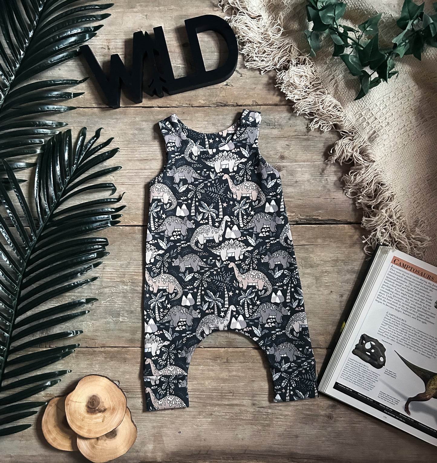 Mono Dino Romper